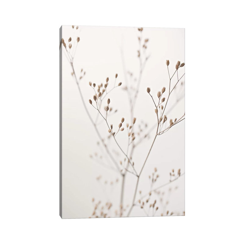 Wildflower Natural Beige I by Monika Strigel - Wrapped Canvas Print, 101.6 cm H x 66.04 cm W x 3.175 cm D