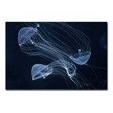 Jelly Fish Parade Three Print