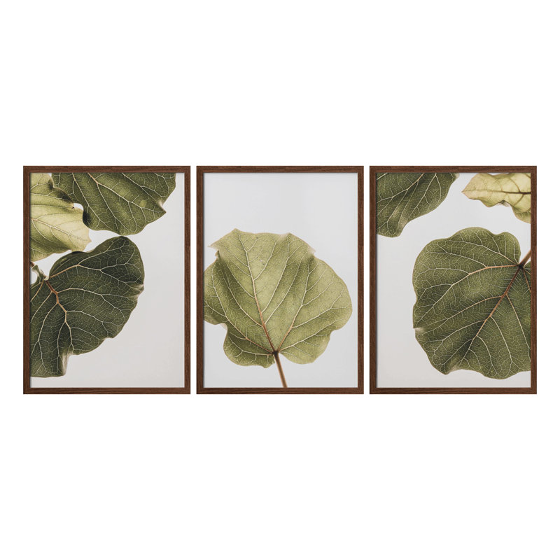 "Abutifolia Noe", ensemble de trois peintures murales encadrées, Noyer, H 40 po x l 90 po