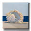 «Shell By The Shore 2» par Ethan Harper, art mural sur toile-1523629076