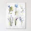 Vast Botanicals - Wrapped Canvas Print-751333714