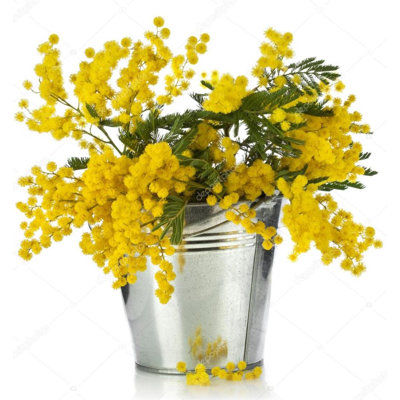 Baisden Metal Pot Planter