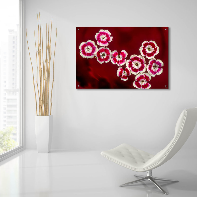 «Macro Flowers 02» par Gordon Semmens, H 24 po x l 36 po x P 0,2 po