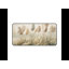 Polyester Desk Pad-1153642037