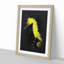 Yellow Seahorse Paint Splash - Picture Frame Graphic Art-62775800-62775801