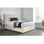 Colner Divan Bed with 24" Headboard on Struts-913336831-831479188-831479265