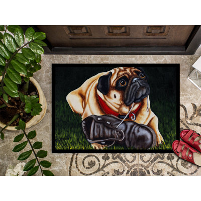 Non-Slip Outdoor Doormat