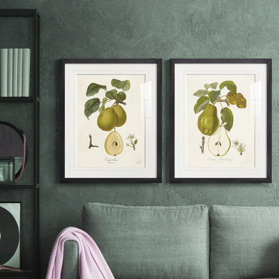 Vintage Pears III, reproduction encadrée de qualité supérieure - prête à être accrochée