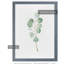 « mou eucalyptus branch iii » par paul cezanne-photo, reproduction d’art encadrée-234294641-234331537-234331538