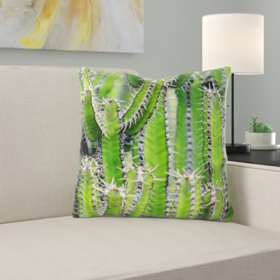 Coussin cactus