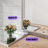 Metal Rectangle Mirror-1301543976-1299815385