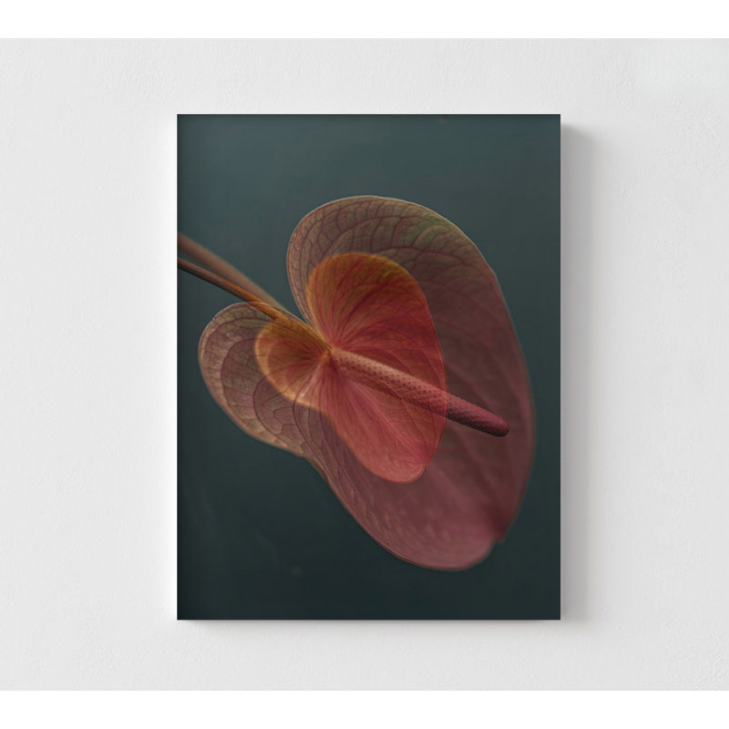 «Heart 2» par Donatella Basso, décor de photographie de fleur, idée de cadeau de photo florale, cadeau en forme de cœur, art mural de salon photo botanique