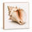 Conch Shell Mini Art Block, 5.5-Inch Square Wood Decorative Sign