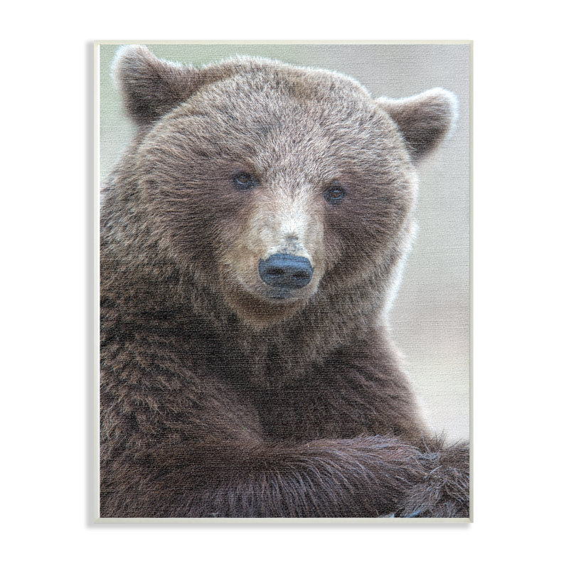 " Most Interesting Bear " by Stock, 15" H x 10" W x 0.5" D, Wall Plaque