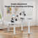 Jeneffer Computer Standing Desk with 4 Drawers for Home Office，Electric Height Adjustable Gaming Desk with Storage Shelf