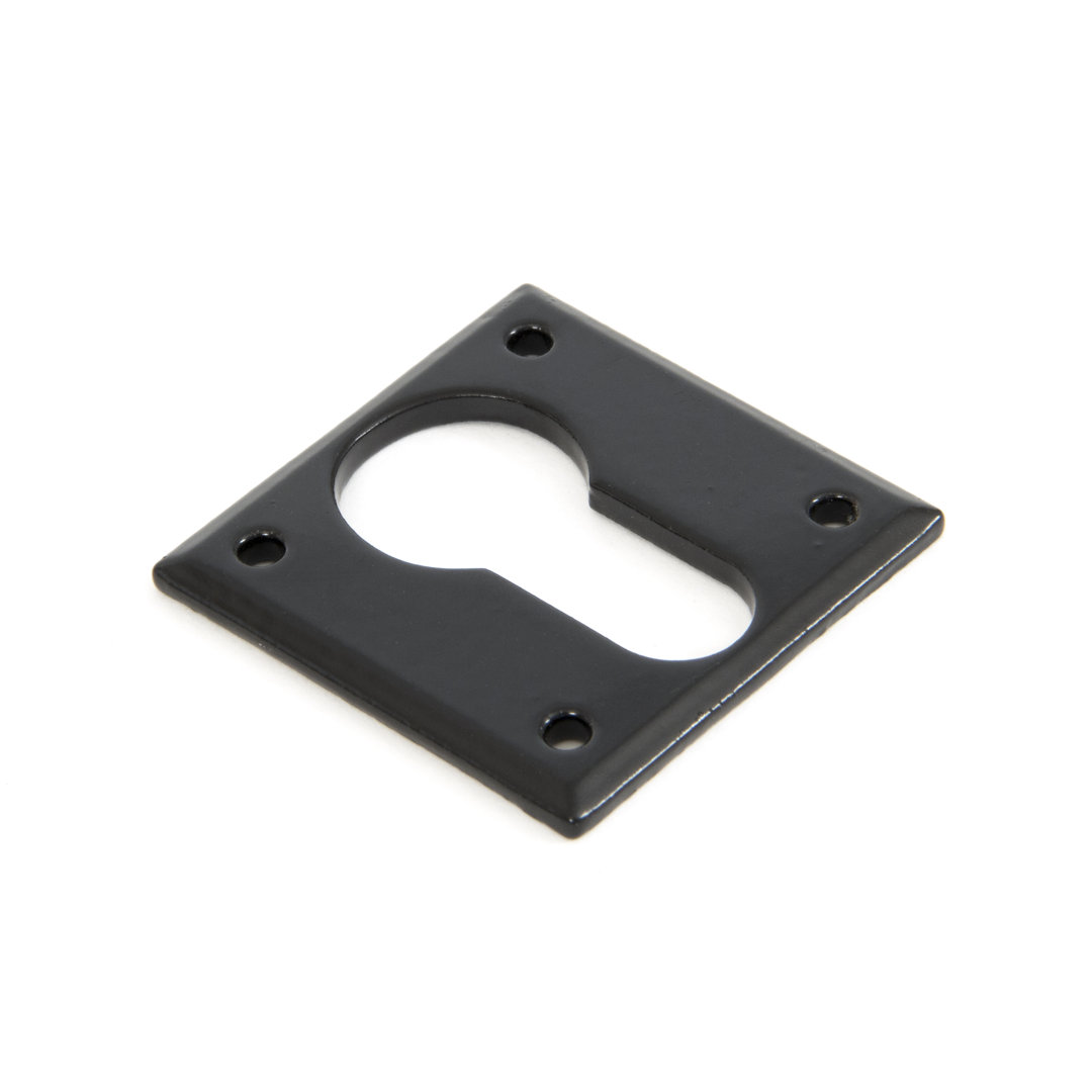 From The Anvil Black Avon Euro Escutcheon - Image 4