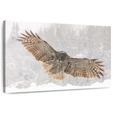 Brampt Blizzard Owl