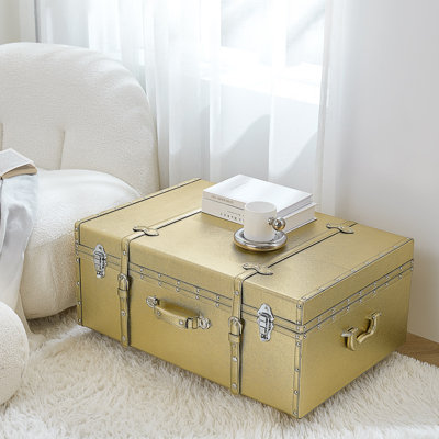 Texture Brand Trunk - Stone Taupe Raindrops