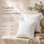 Ensemble de 1 coussin décoratif carré blanc 100% coton, bourre en duvet de microfibre, tailles multiples-93653190