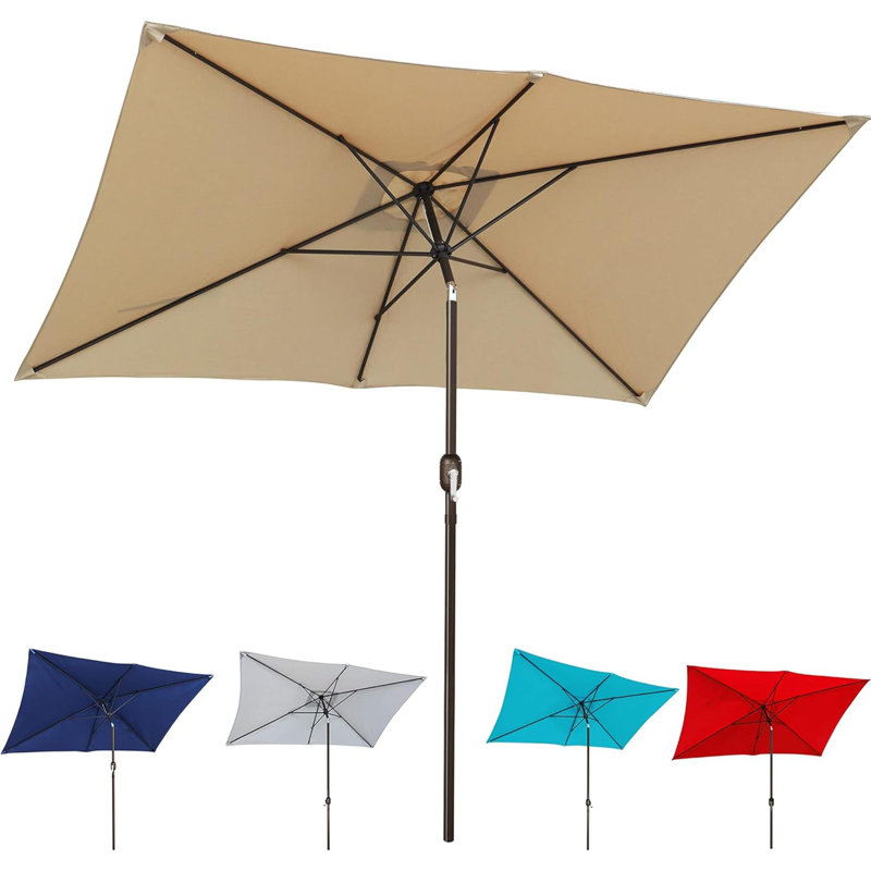 Parasol de marché Swainson, Brun clair