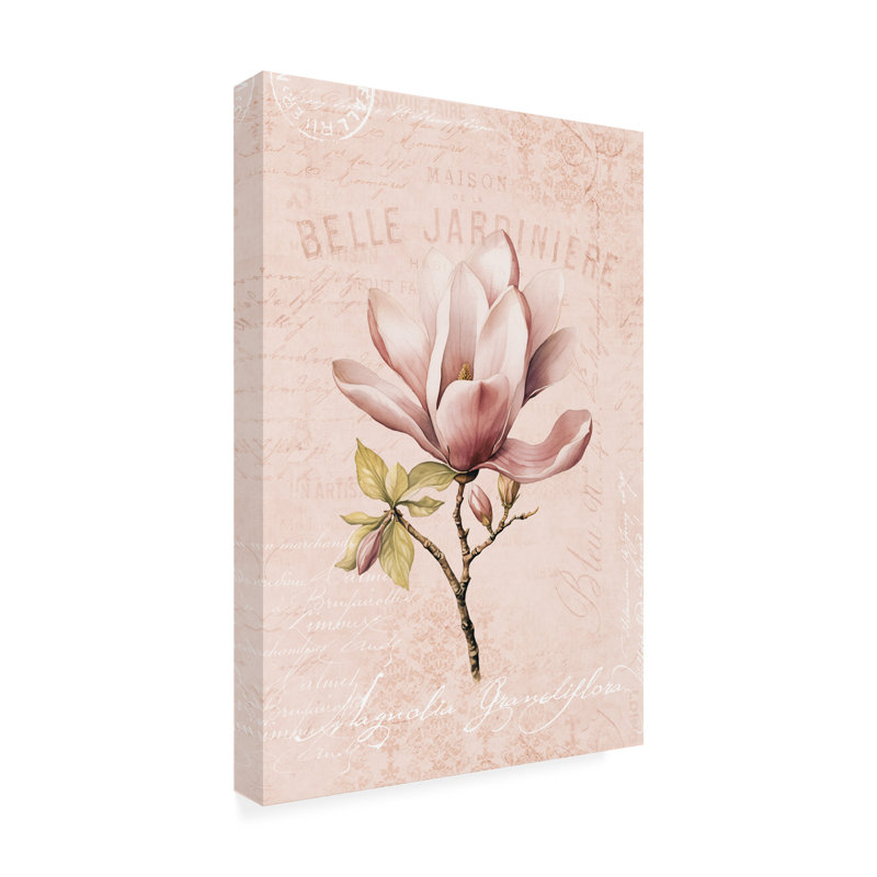 Magnolia Blush No2, H 19 po x l 12 po x P 2 po