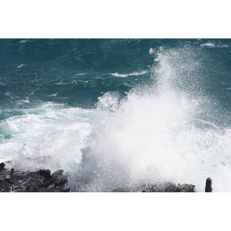 Décalcomanie murale blowhole i, H 32 po x l 48 po