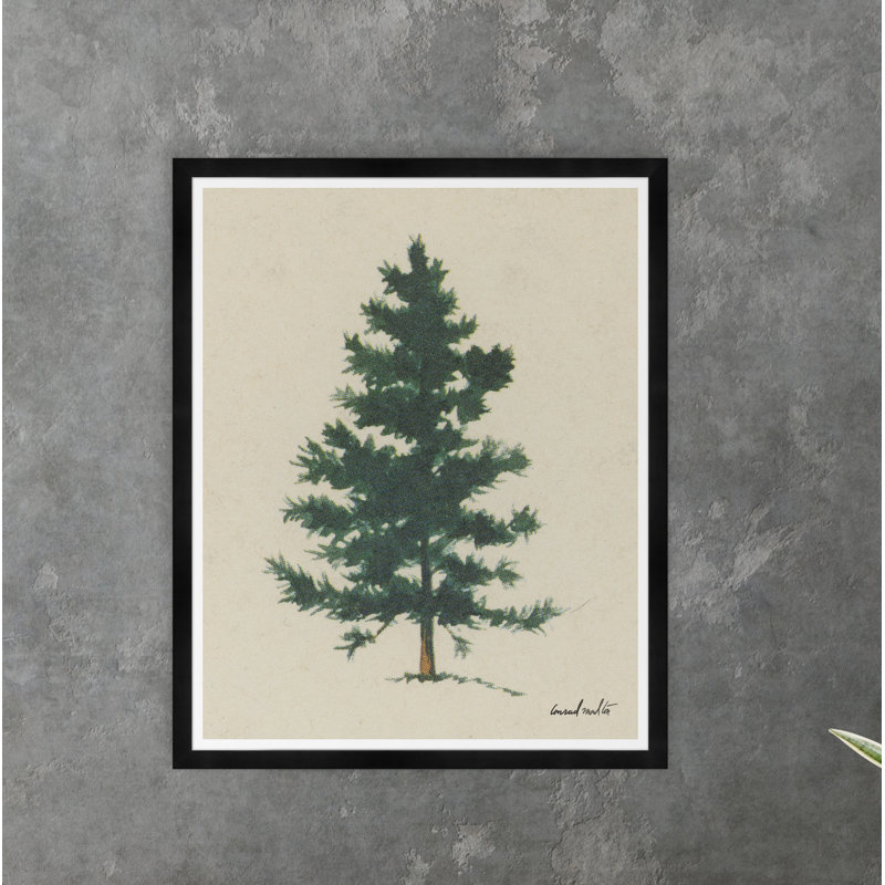 Evergreen Print