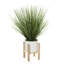 Onion Grass in White Planter with Wooden Stand