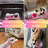 Emmalei Animal Print Polyester Pet Bed