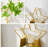 Valjet table vase or wall hanging vase