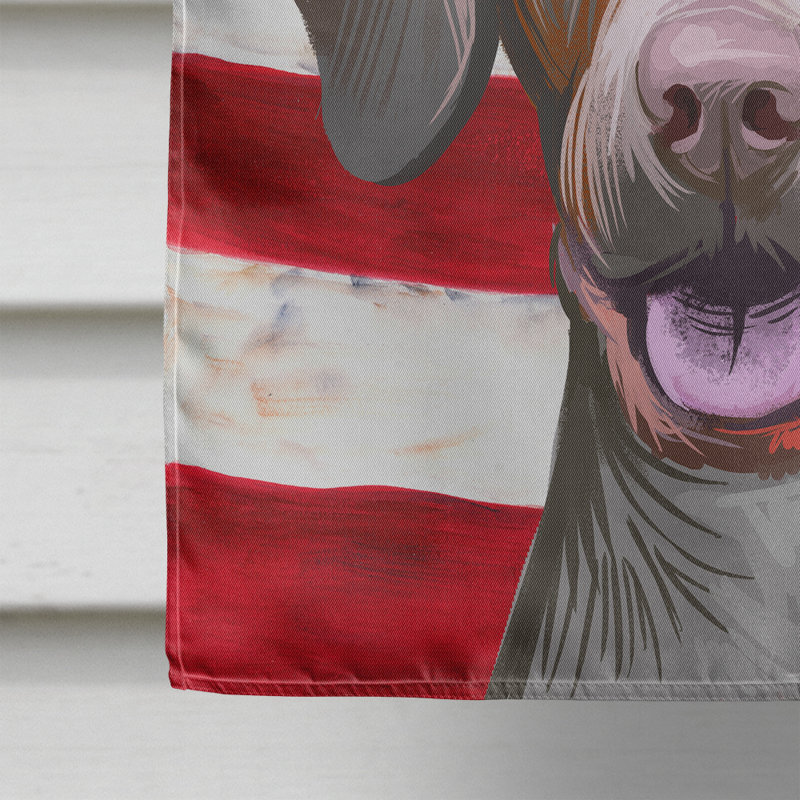 Polyester à 2 côtés 28 x 40 po drapeau maison, Pointeur