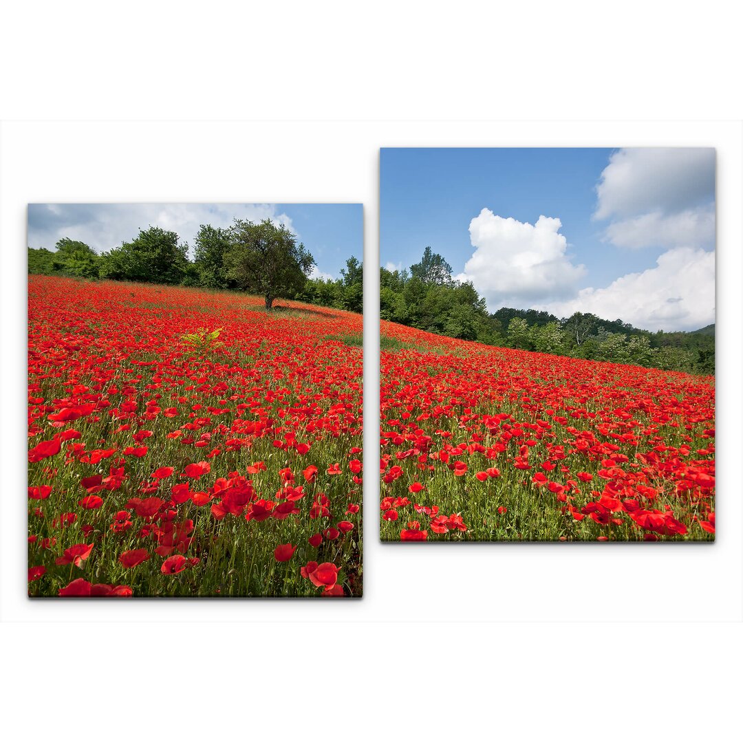 2-tlg. Leinwandbilder-Set Blumenwiese