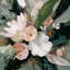 Morning Bloom-291278085