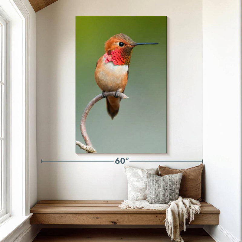 Brampt Male Rufous Hummingbird, 51" H x 34" W