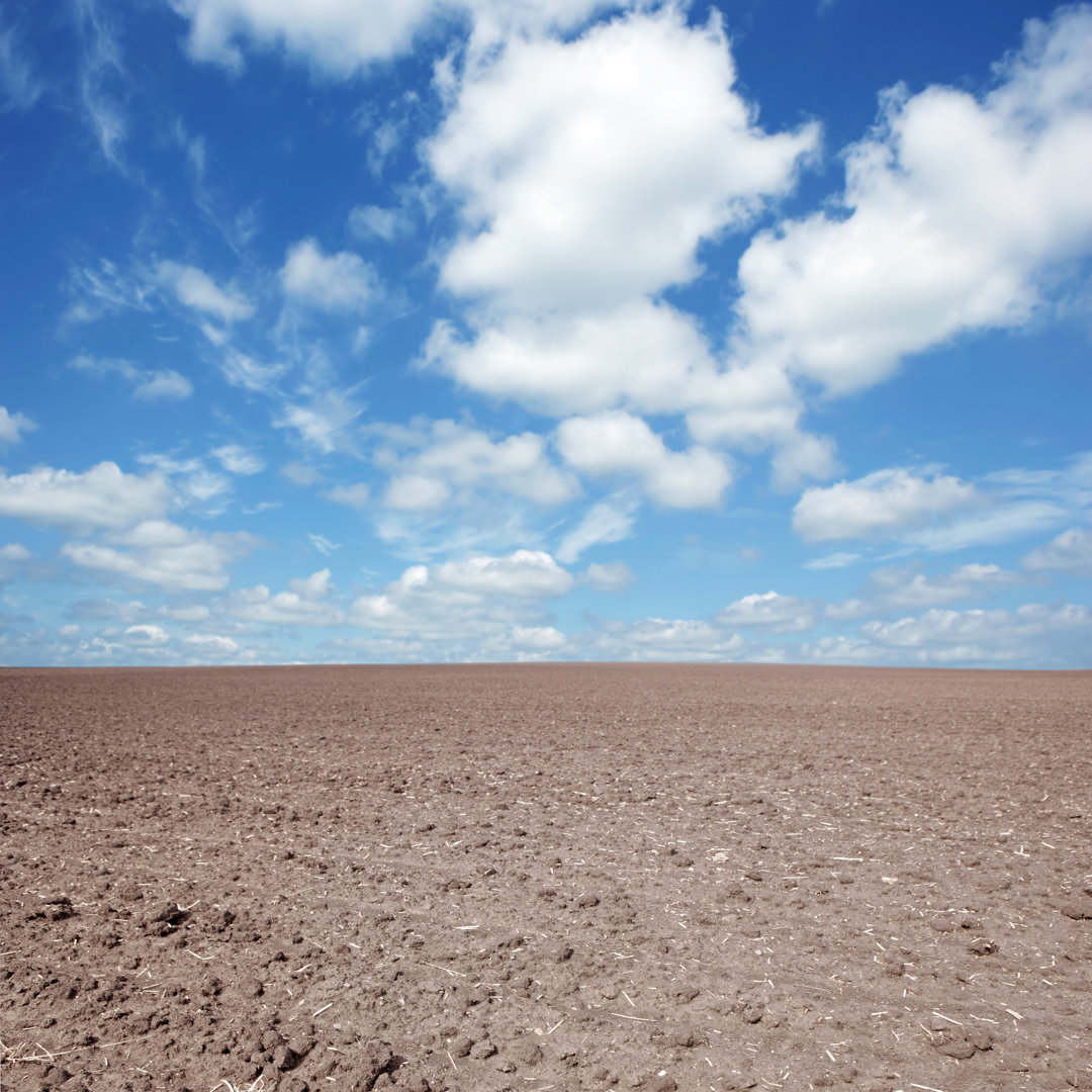 Barren Farm Field von Sharply_done - Kunstdrucke