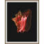 Wild Calm 6 Print by Art House Studios-577347114