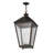 Baylynn Outdoor Hanging Lantern