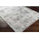 Baumann Abstract Indoor Rug
