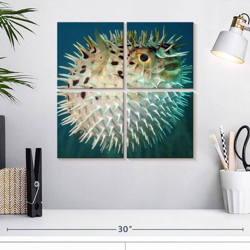Poisson-globe Brampt, H 18 po x l 18 po