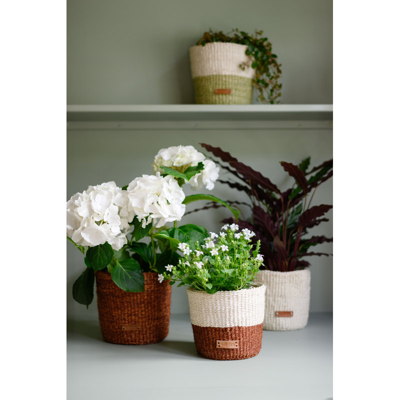 Pot à fleurs rayé brun, Tan