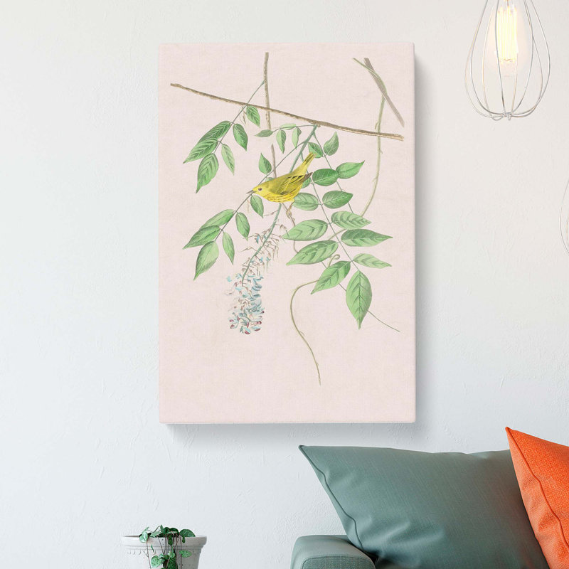 Blue-Eyed Yellow Warbler by John Audubon - Wrapped Canvas Painting Print, 60cm H x 40cm W x 3cm D