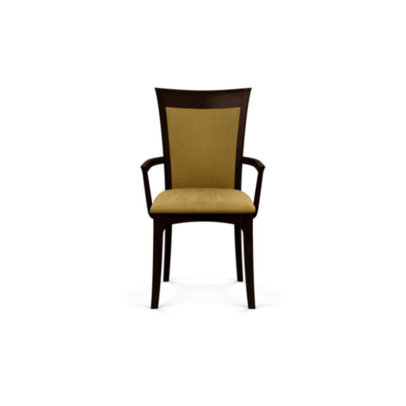 Morgan Upholstered Arm Chair, Smoke Cherry, Microseude Onyx