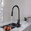 Robinet de cuisine avec douchette extractible