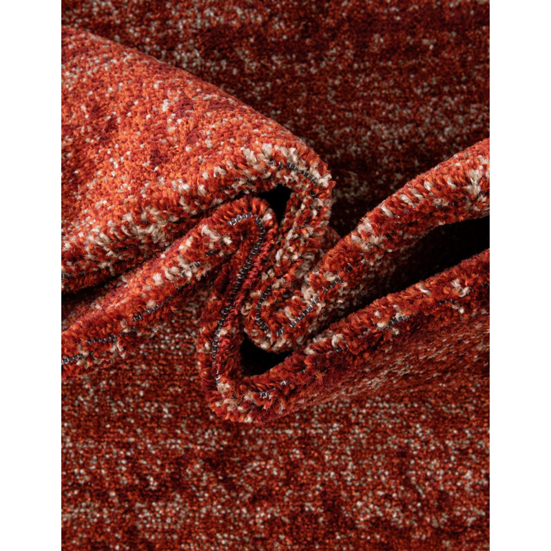 Franchester Indoor Rug, Runner 2' x 6'1"