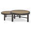 Aster Cocktail Table-159418758