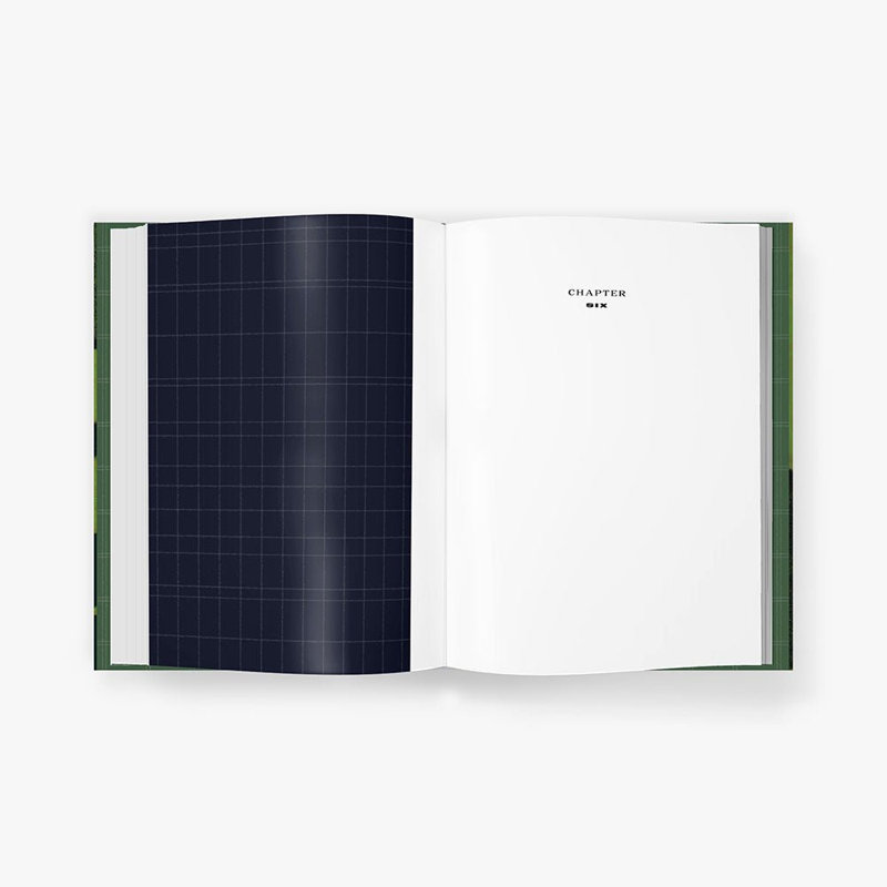 The Great Gatsby Art NovelTM