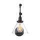 Catalina Single Light Glass Dimmable Plug-in Swing Arm Sconce