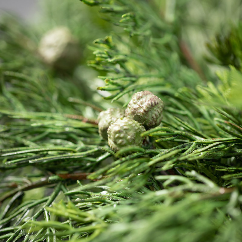 Artificial Pine and Berry Wreath, 19" H x 2.5" W x 19" D