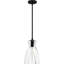 Mini-luminaire suspendu noir mat 1 lumière Wier-100486177
