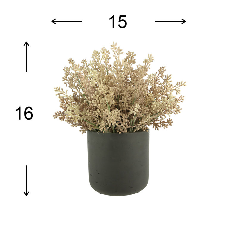 Seeded Eucalyptus Arranged in a Fiberstone Pot, Pink/Black, 9" H x 15" W x 15" D
